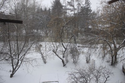 _MG_9503.JPG (276.74 КБ) 19381 просмотр Лето