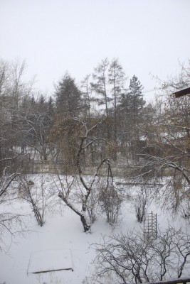_MG_9504.JPG