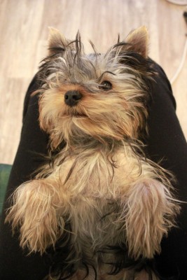 _MG_0720_small.jpg (240.73 КБ) 36044 просмотра Все епанулись